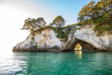 Day Tour to Cathedral Cove and Hot Water Beach from Auckland