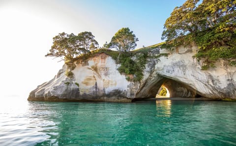 Coromandel Day Tour: Cathedral Cove and Driving Creek Railway