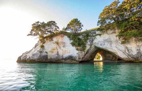 Coromandel Day Tour: Cathedral Cove and Driving Creek Railway