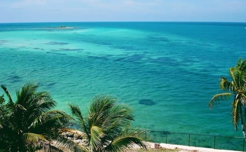 Small Group Key West Tour from Miami with Everglades Stop