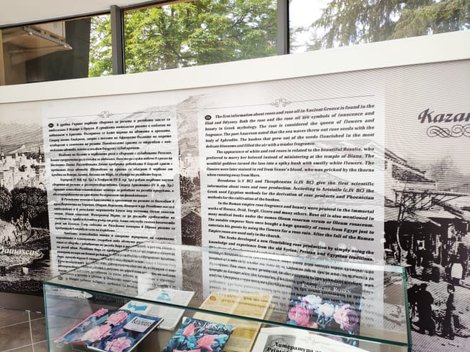 Self-Guided Tour in the Museum of Roses 3