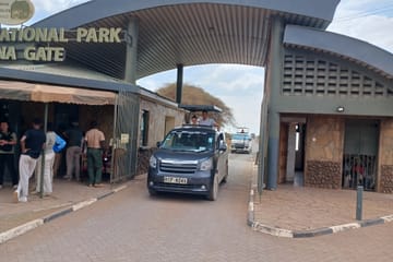 Amboseli day trip tour