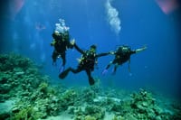 Diving And Snorkeling To Ras Mohamed And White Island By VIP Boat 8