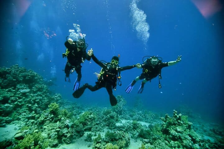 Diving And Snorkeling To Ras Mohamed And White Island By VIP Boat 8