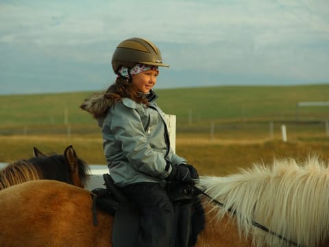 Date the Icelandic Horse, photo 4