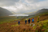 Hill walking the Connemara hills or mountain ranges. Galway. Guided. Half or Full day 6