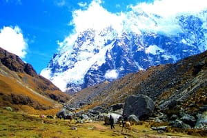8-Day Luxury Salkantay Trek To Machu Picchu Private Service