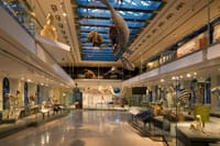 Go Los Angeles All-Inclusive Pass 6