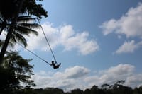 Giant swing