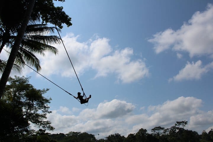 Giant swing