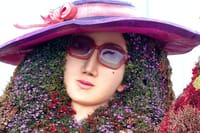 Dubai Combo: AYA Universe and Dubai Miracle Garden Tickets 9