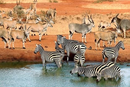 3 Days Samburu National Park private safari all inclusive