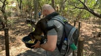 7 hectare area to walk at the monkey sanctuary