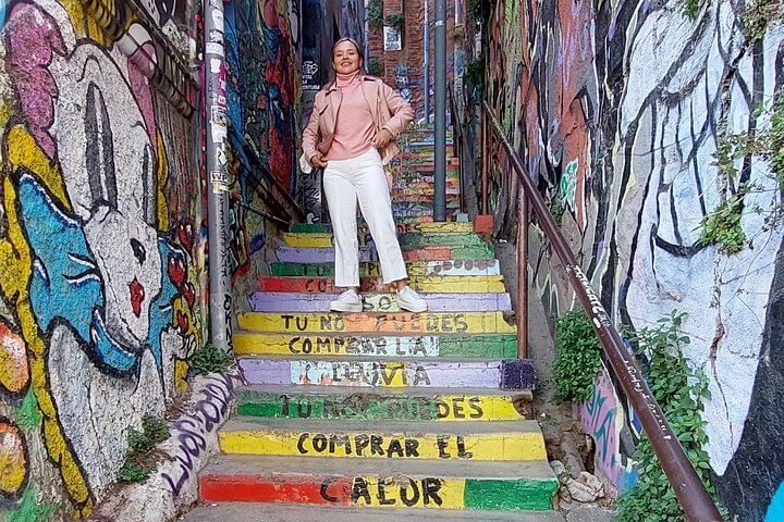 Private Full-Day Tour to Valparaiso Viña del Mar and Reñaca