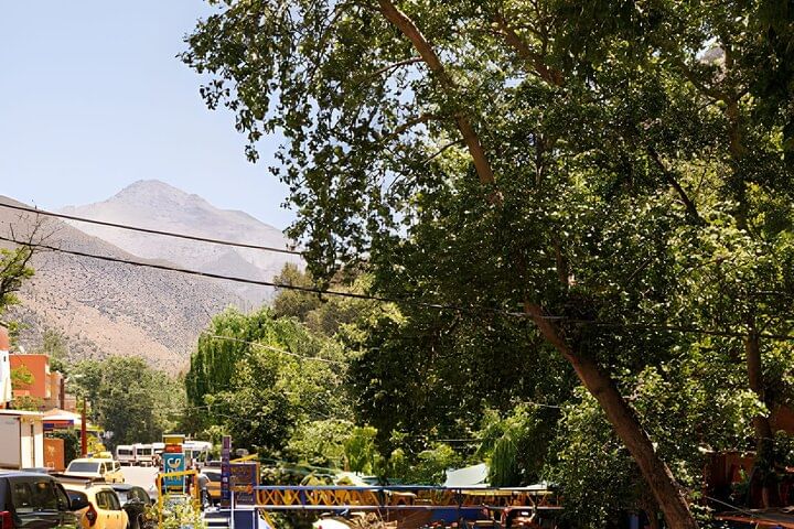 Private Full Day Tour in Ourika Valley
