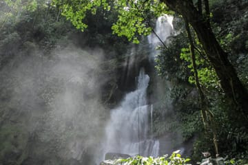 Jungle Paradise Tour: Carpishuyacu Waterfall & Thermal Baths in Tarapoto