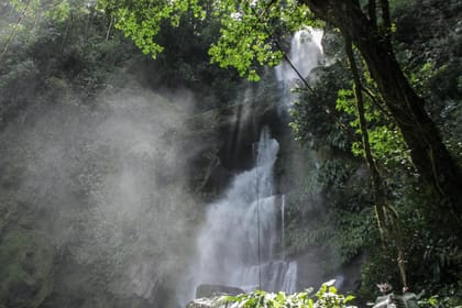 Tar-02 : Jungle Paradise – Carpishuyacu Waterfall & San Jose Thermal Baths