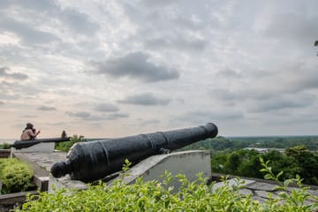 Kuala Selangor Fireflies Tour with Seafood Dinner Experience