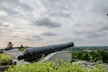 Fireflies Tour with Blue Tears & Seafood Dinner on Private Basis