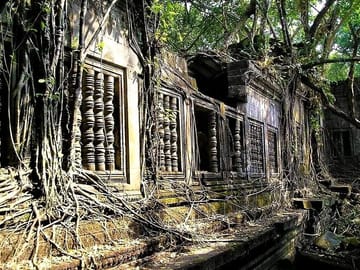 Prek Toal Birds Sanctuary & floating Village Private Tours from Siem Reap