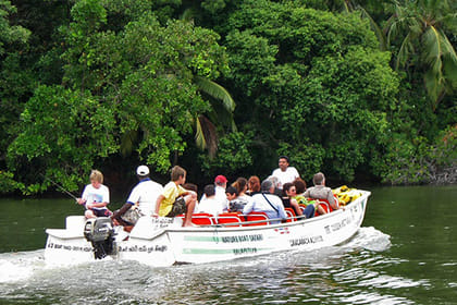 Madu River Boat Safari