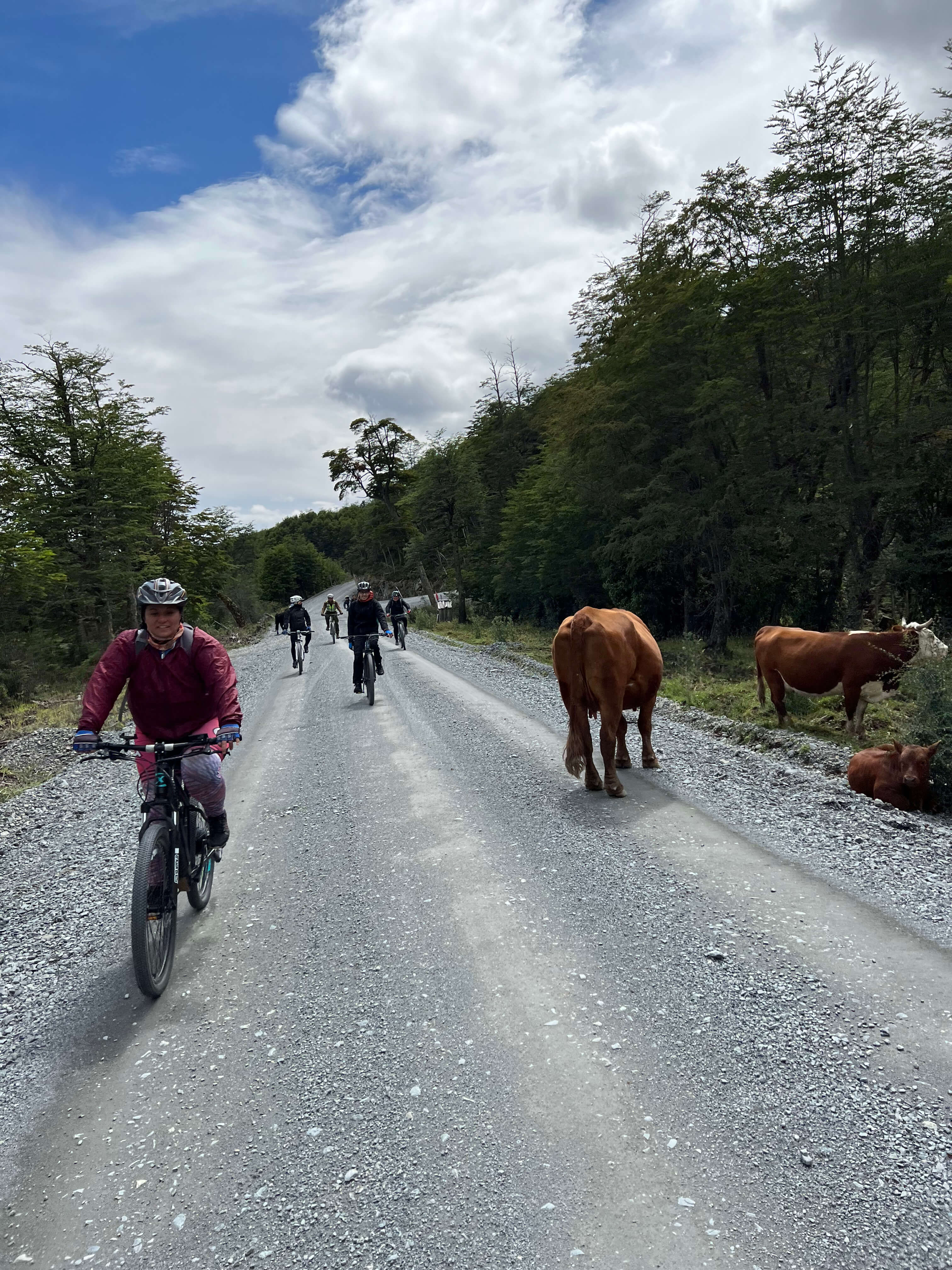 Ebike tour SURí: pedaleando entre las vacas al Fin de la Carretera Austral, Villa O'higgins