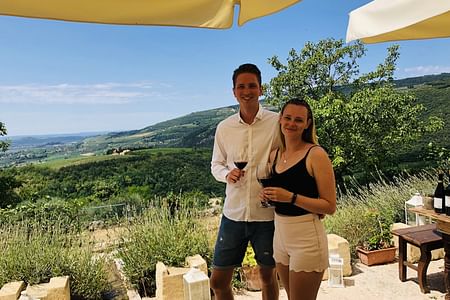 Valpolicella Wine Experience: Vineyard Walk, Amarone Tasting & Views