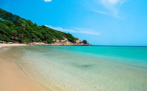 Colombo to Trincomalee and Nilaveli Beach Tour