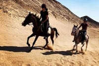 2 Hours Desert Horse Riding Adventure with Transfer - Marsa Alam