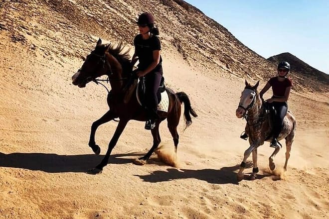 2 Hours Desert Horse Riding Adventure with Transfer - Marsa Alam