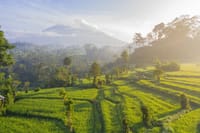 countryside view