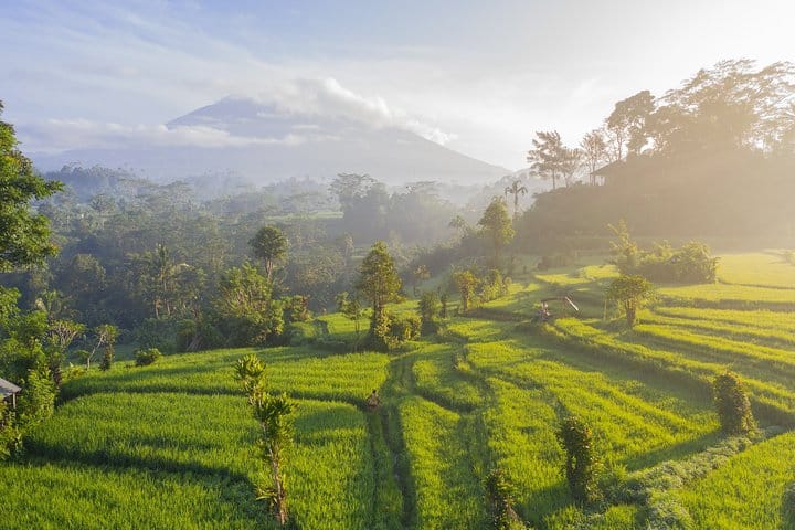 countryside view