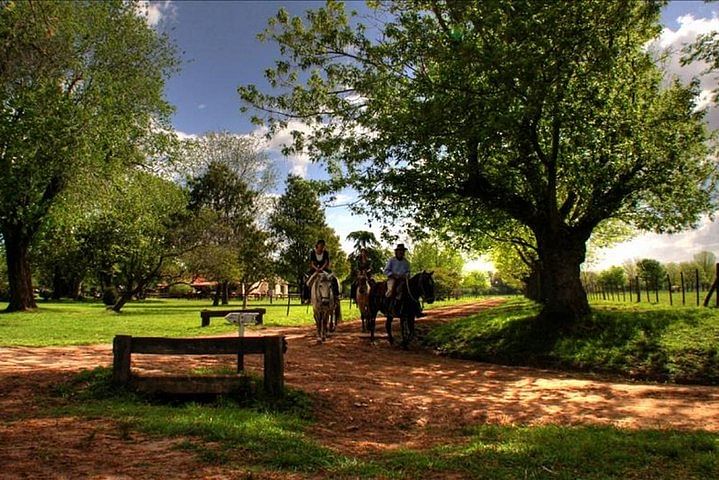 Discover San Antonio de Areco: Gaucho Ranch Adventure & Culture Tour