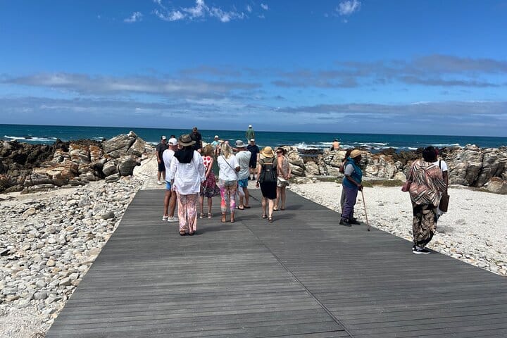 Cape Agulhas, Full-Day Private Tour & Wine Tasting from Cape Town