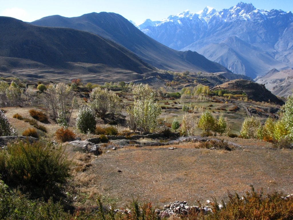 19 Days Mera Peak Climbing & Expedition – One Life-Changing Himalayan Adventure