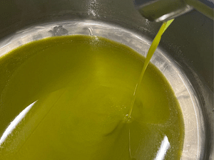Olive Mill Tour and Tasting in the Padua Hills