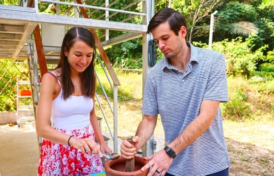 Phuket: Honeymoon Elephant Care Program