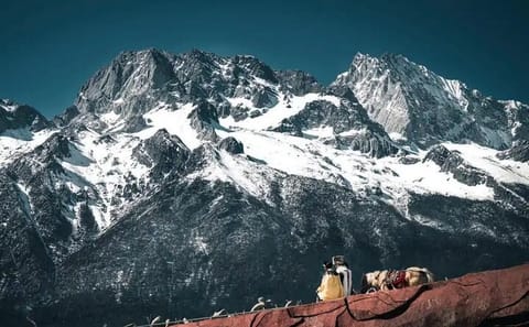 Scenic Drive from Lijiang to Shangri-La via Tiger Leaping Gorge