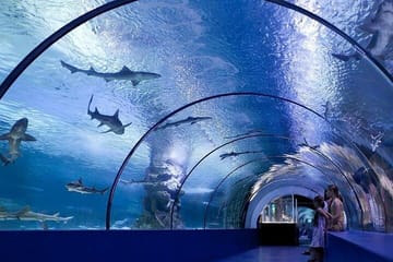 Antalya Aquarium and Fun Park Tour with Hotel Pickup