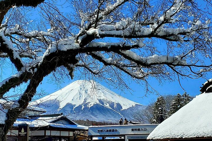 2 Days Private Tour: Tokyo / Mt Fuji and Hakone