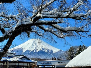 English Guided 2 Days Tokyo ,Mt Fuji and Hakone Private Tour