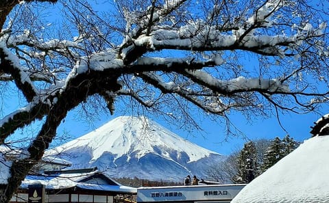 English Guided 2 Days Tokyo ,Mt Fuji and Hakone Private Tour