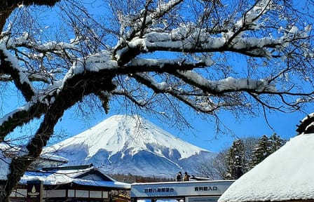 English Guided 2 Days Tokyo ,Mt Fuji and Hakone Private Tour
