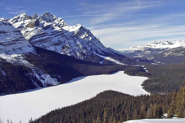 Ice Bubbles at Abraham Lake/Sunwapta Falls 4