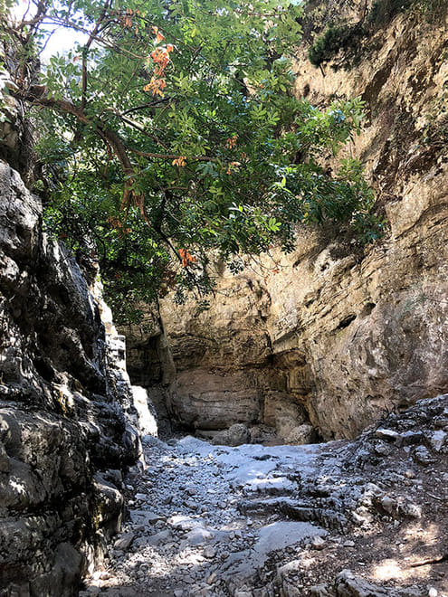 Excursion to Imbros Gorge & Frangokastelo from Heraklion & Surrounding Areas 2