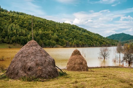 Explore Didgori Valley: Turtle Lake, Ethnographic Museum & Kojori Fortress