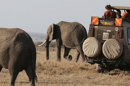 4-Day Masai Mara and Lake Naivasha 4 X 4 Land Cruiser Safari – High End