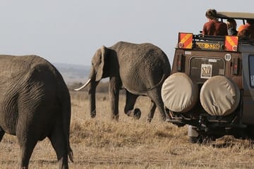 4-Day Masai Mara and Lake Naivasha Safari Tour in Kenya