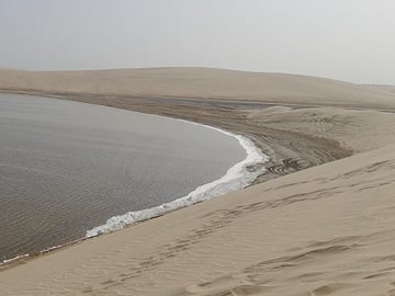 Doha: Desert Safari (Private Tour) with Pick Up & Drop Off