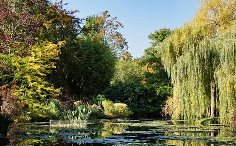 Guided Walking Tour of Monet's Giverny Gardens in Eure